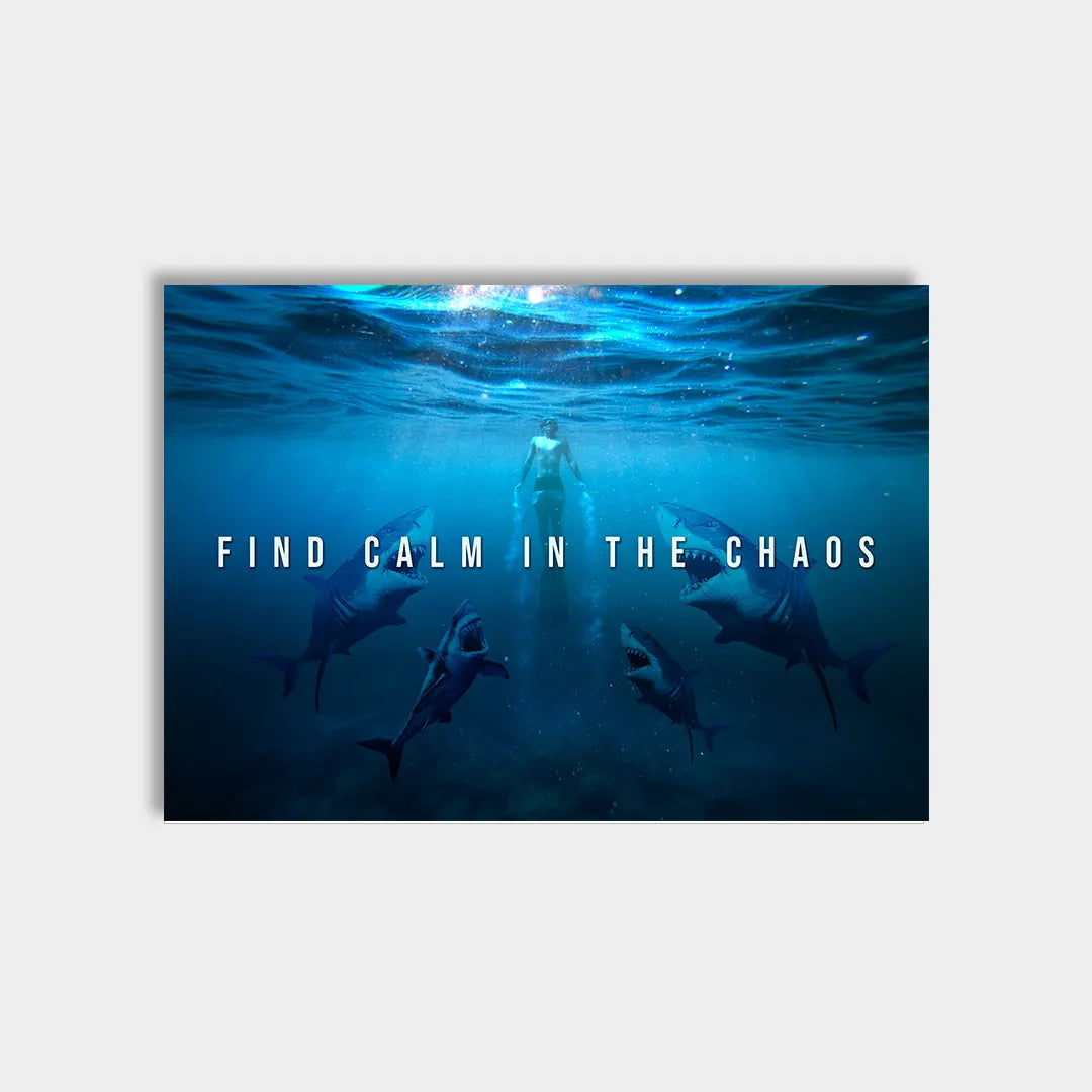 Plakat - Find calm in the chaos citat - admen.dk