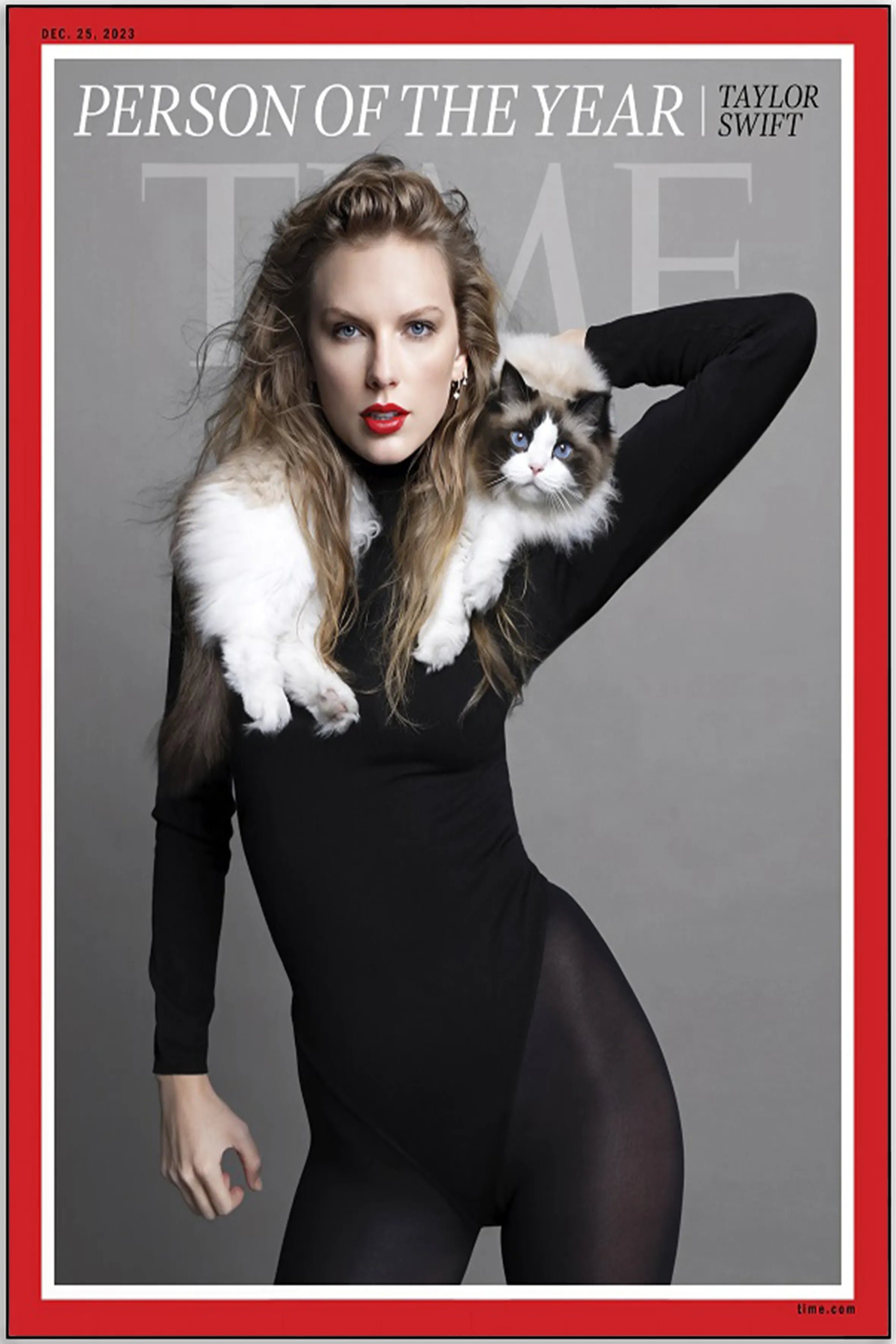 Plakat - Taylor Swift og katten - admen.dk