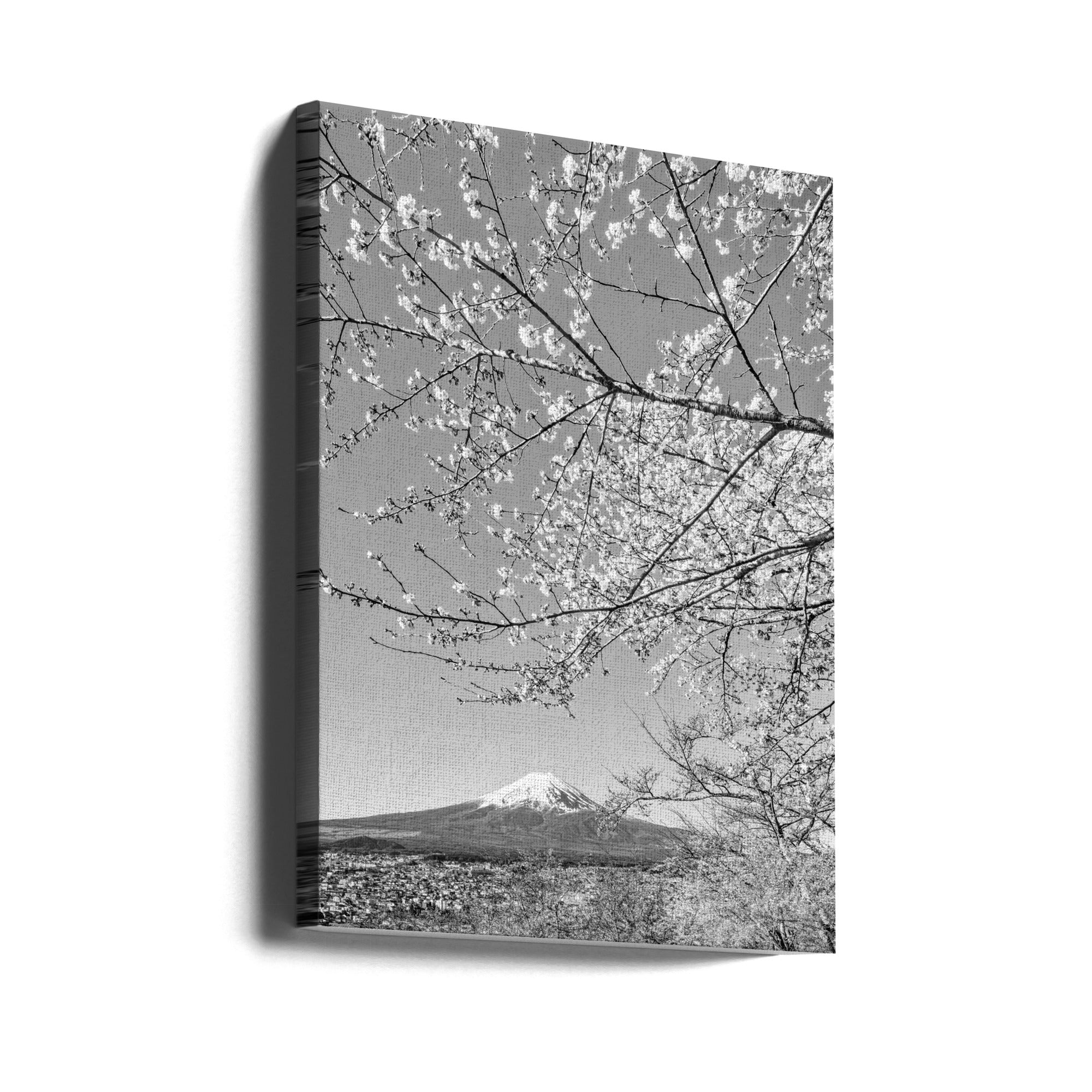 Canvas - Charming view of Mount Fuji with cherry blossoms