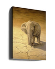 Canvas - Magnificent Elephant