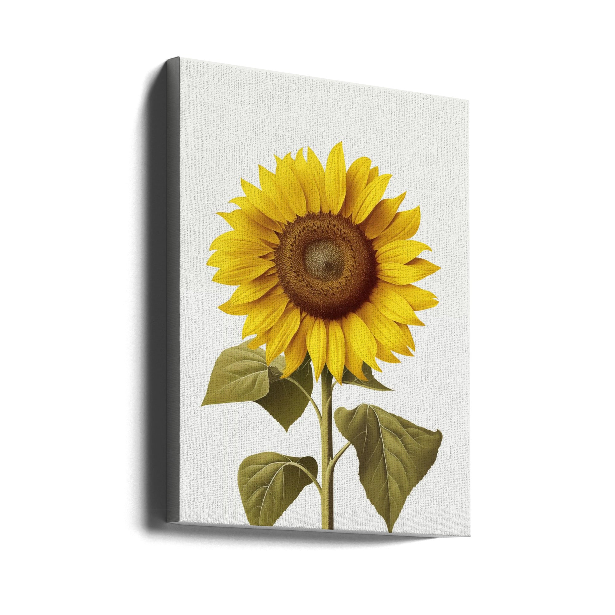 Canvas - Sunflower Still