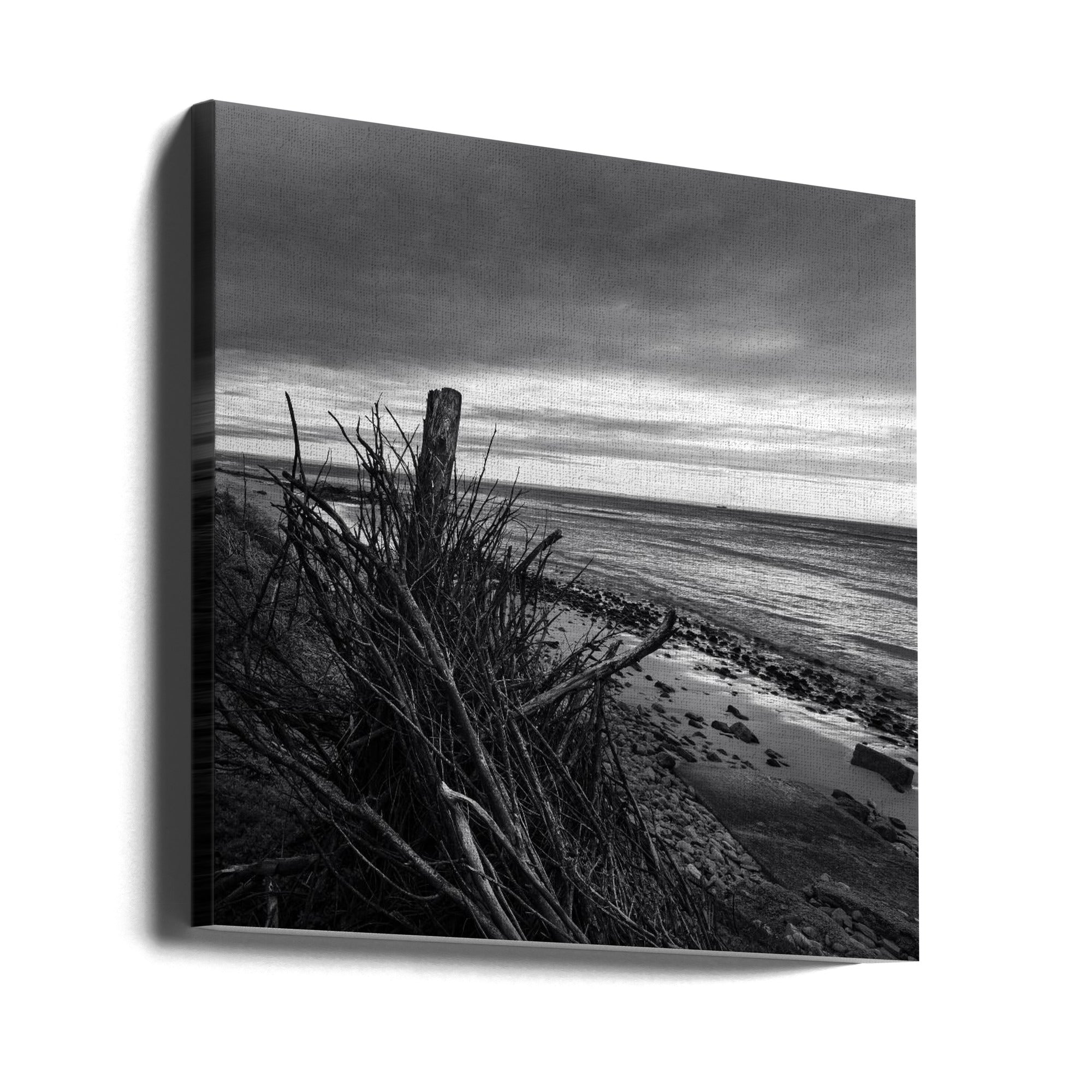 Canvas - Elemental Palisade - Ray Truter Photography Fine Art Originals