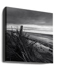 Canvas - Elemental Palisade - Ray Truter Photography Fine Art Originals