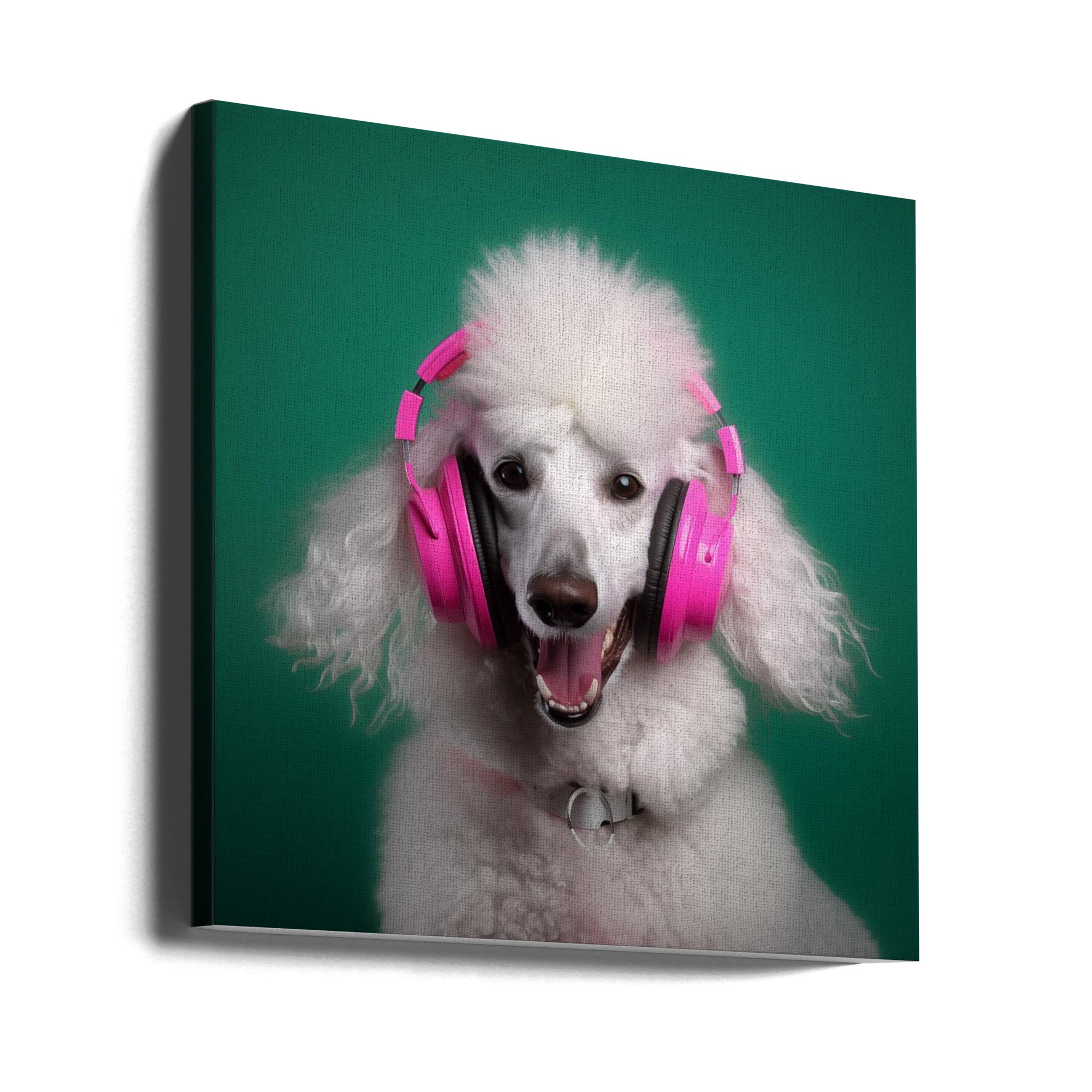 Canvas - Dj Poodle