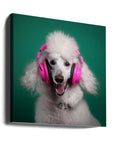 Canvas - Dj Poodle