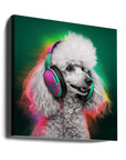 Canvas - Party Poodle