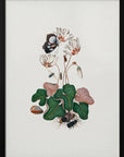 Plakat - Cyclamen