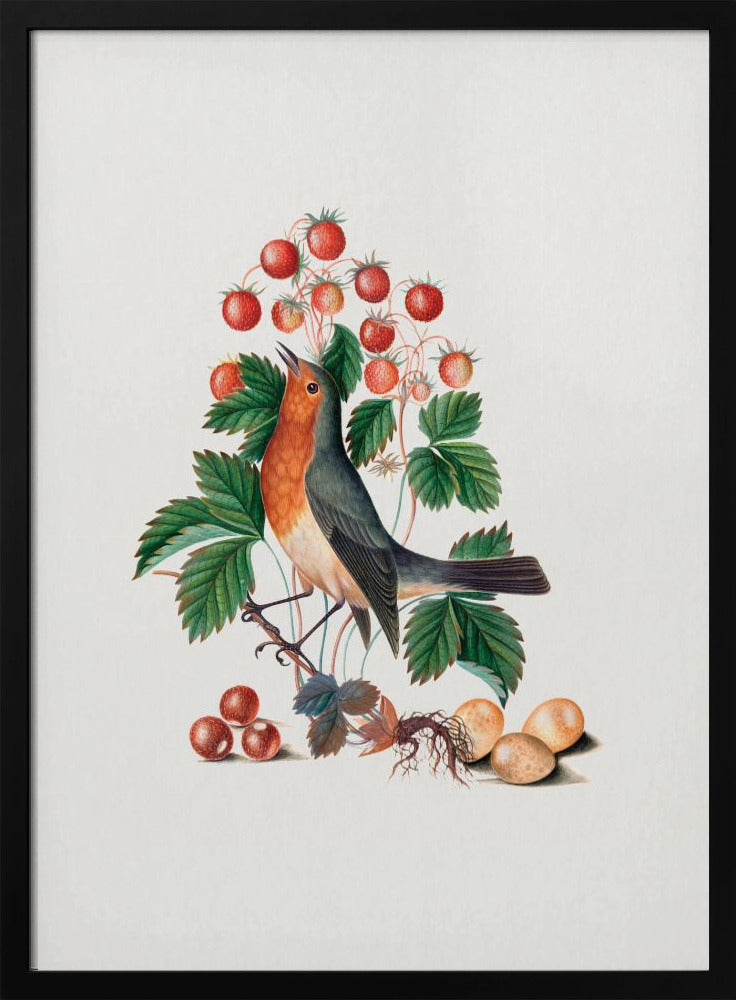 Plakat - European Robin and Wild Strawberry