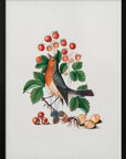 Plakat - European Robin and Wild Strawberry