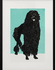 Poster - Poodle