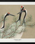 Plakat - Cranes From Momoyogusa