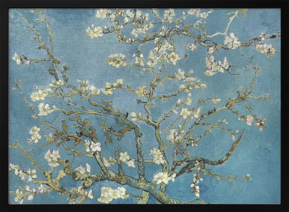 Poster - Vincent Van Gogh&#39;s Almond Blossom (1890)