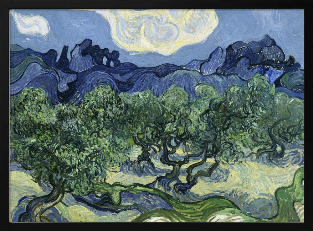 Poster - Vincent Van Gogh&#39;s Olive Trees With the Alpilles In the Background (1889)