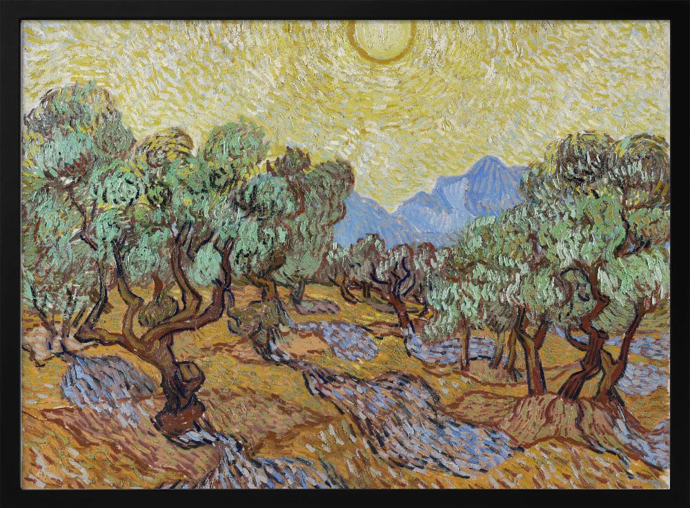 Plakat - Vincent Van Gogh&#39;s Olive Trees (1889)