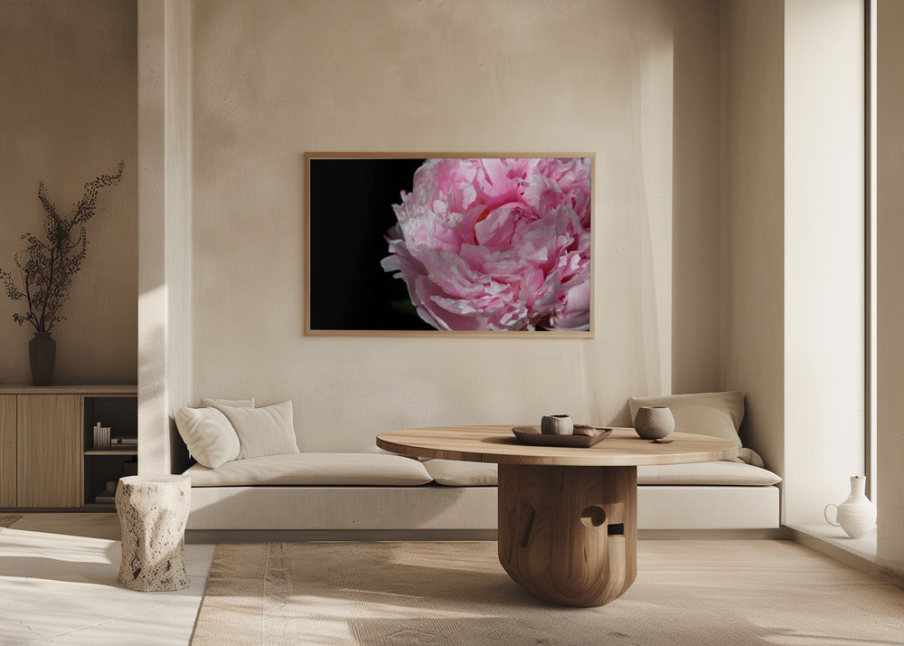 Plakat - Pink peony IV