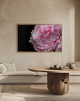 Plakat - Pink peony IV