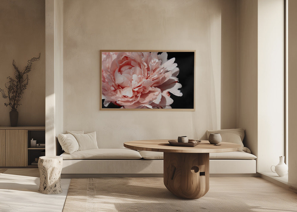 Poster - Blush peony VI