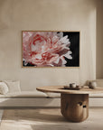 Poster - Blush peony VI