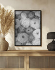 Poster - Scattered ranunculus grayscale II