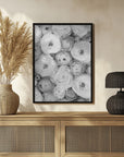 Poster - Scattered ranunculus grayscale I