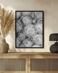 Poster - Gray ranunculus