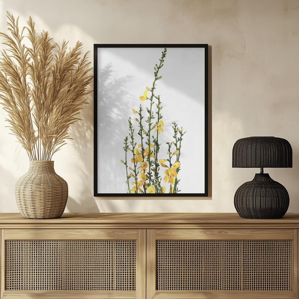 Poster - Yellow blooms