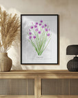 Poster - Chives II