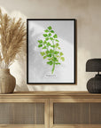 Poster - Parsley I