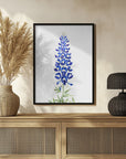 Poster - Watercolor Texas bluebonnet