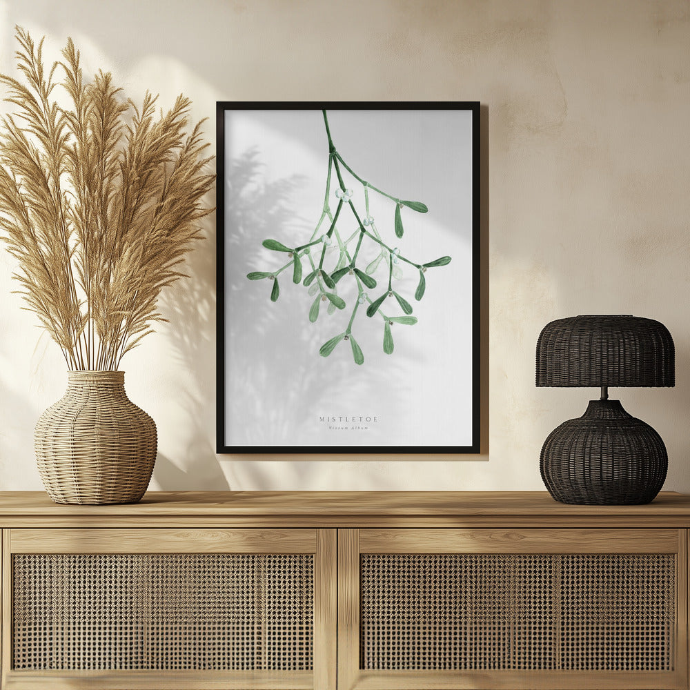 Poster - Watercolor mistletoe