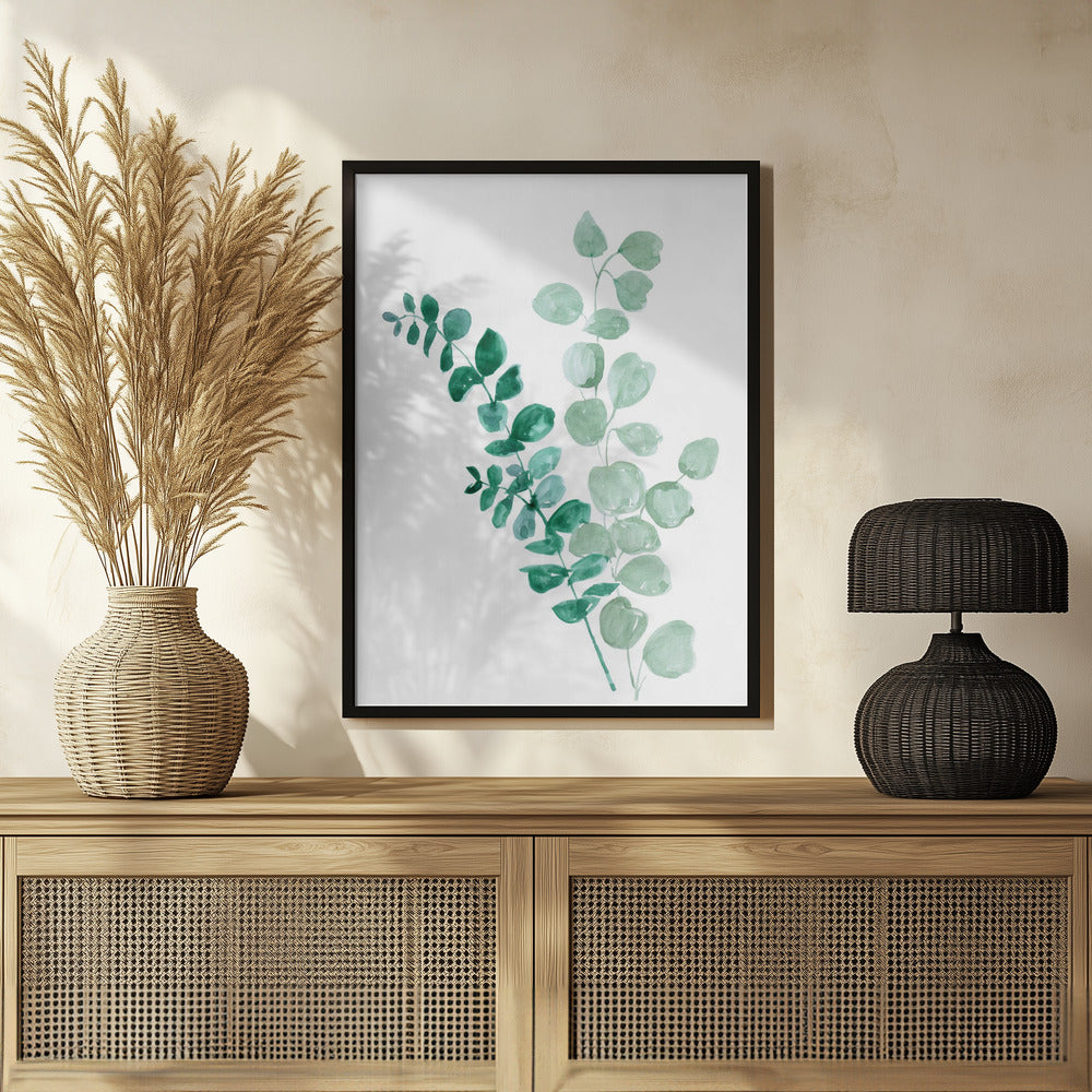 Plakat - Two eucalyptus branches