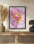 Poster - Pink peony I