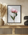 Plakat - Pink peony II