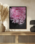 Poster - Pink peony V