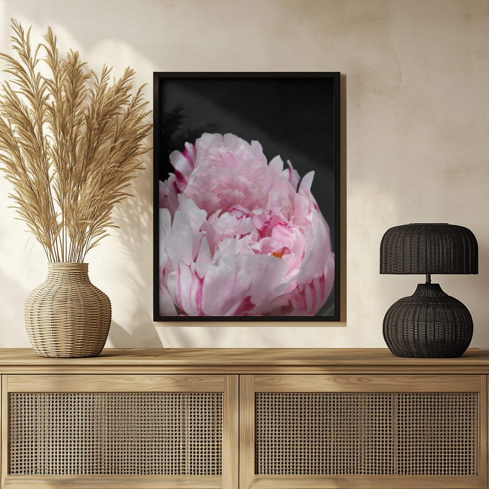 Poster - Pink peony VIII