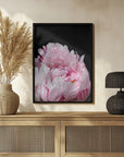 Poster - Pink peony VIII