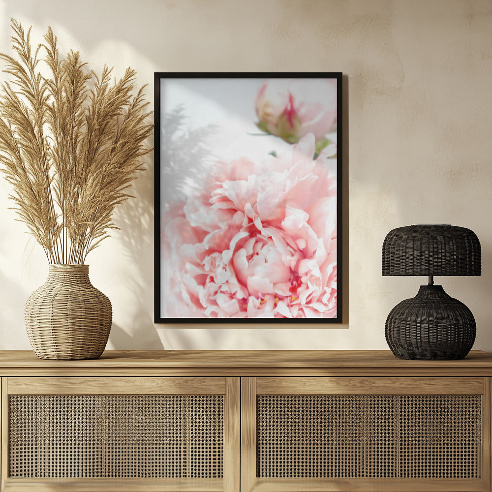 Plakat - Blush peony IX