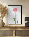 Poster - Pink tulip