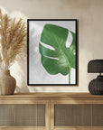 Poster - Bright green monstera leaf