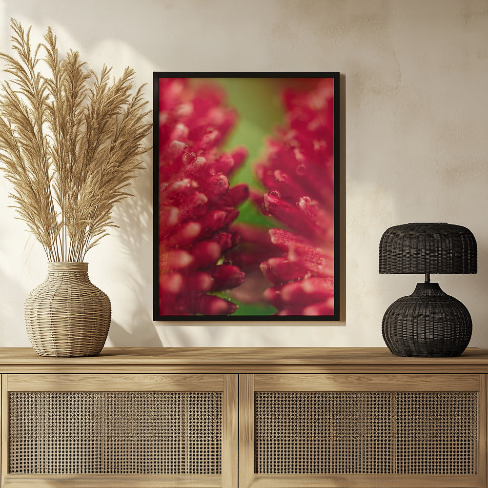 Poster - Red Flowers 25