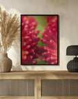 Poster - Red Flowers 25