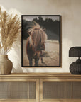 Poster - Small Horse