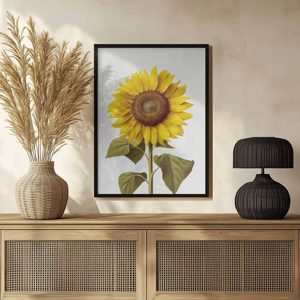 Plakat - Sunflower Still