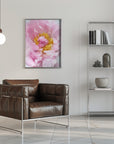 Poster - Pink peony I