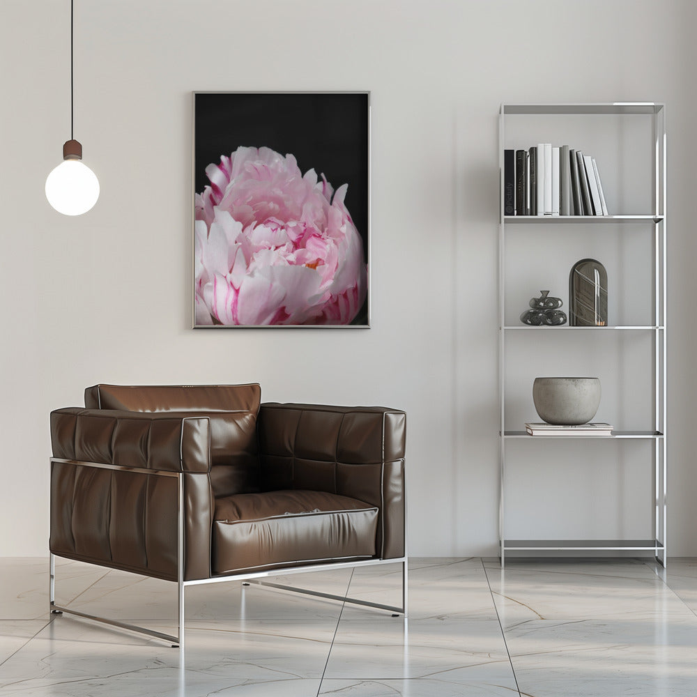 Poster - Pink peony VIII