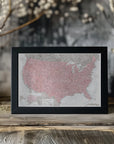 Plakat - Highly detailed map of the United States, Gopi