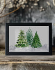 Plakat - Three watercolor pine trees