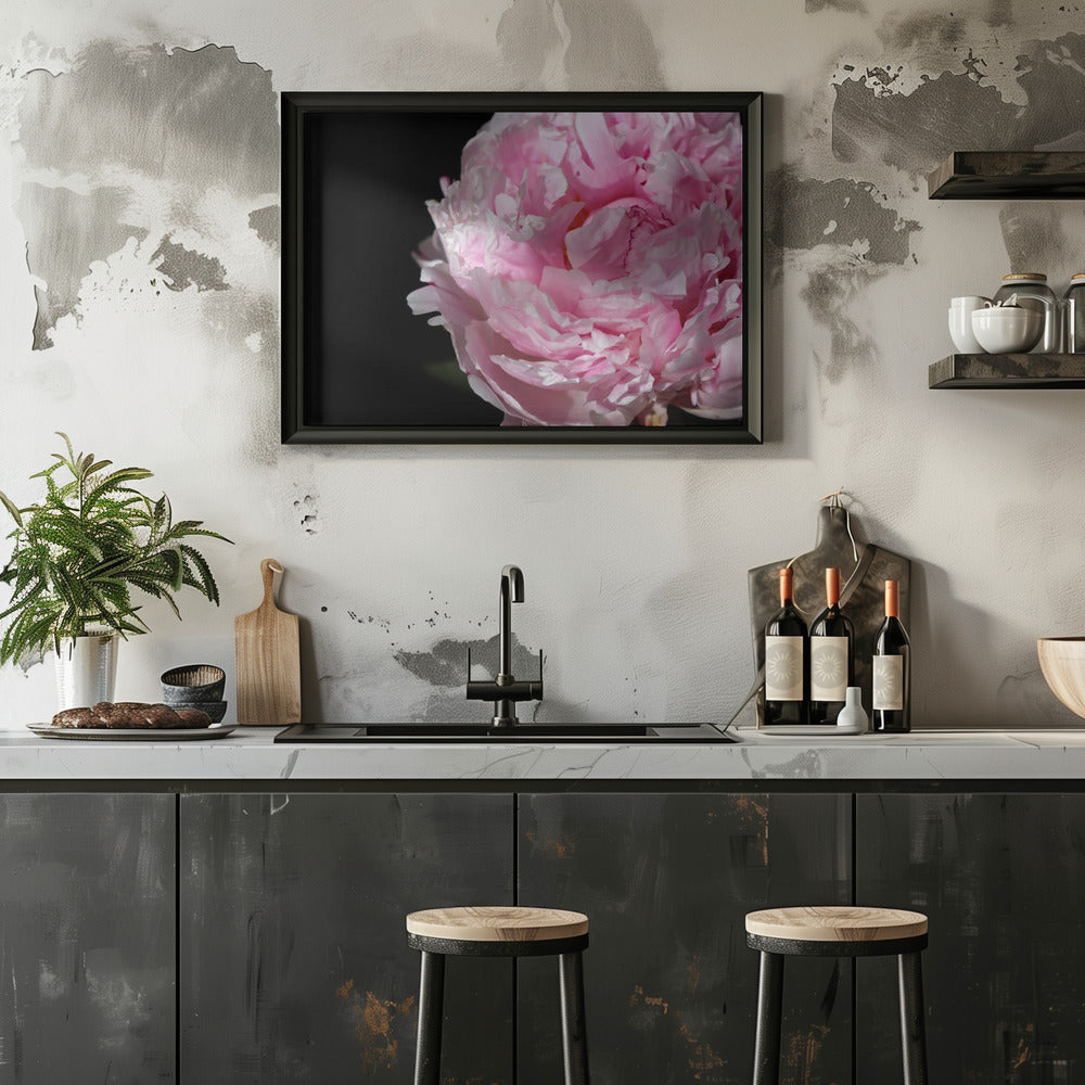 Plakat - Pink peony IV