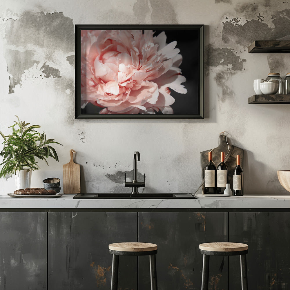 Poster - Blush peony VI