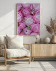 Poster - Pink ranunculus